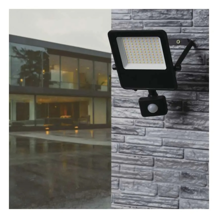 LED Prožektor anduriga VISIO LED/50W/230V 4000K IP65