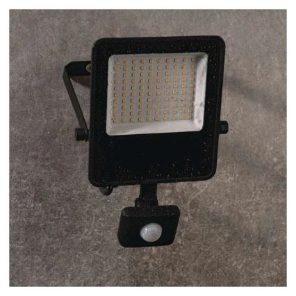 LED Prožektor anduriga VISIO LED/50W/230V 4000K IP65