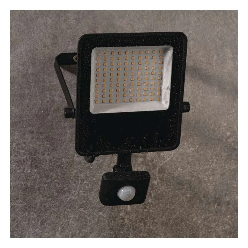 LED Prožektor anduriga VISIO LED/50W/230V 4000K IP65