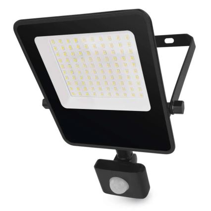 LED Prožektor anduriga VISIO LED/50W/230V 4000K IP65