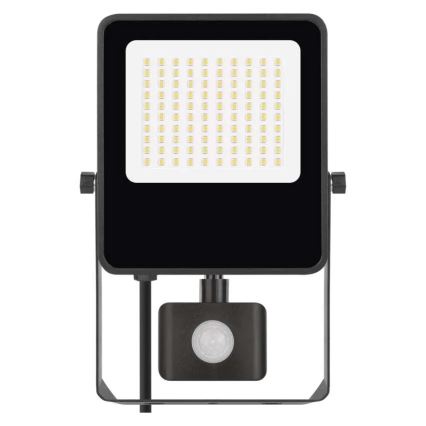 LED Prožektor anduriga VISIO LED/50W/230V 4000K IP65