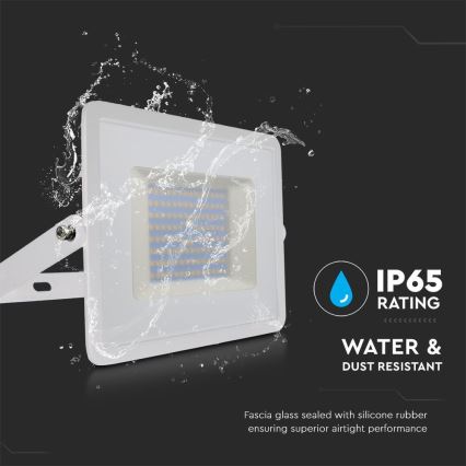 LED Prožektor LED/100W/230V 6500K IP65 valge