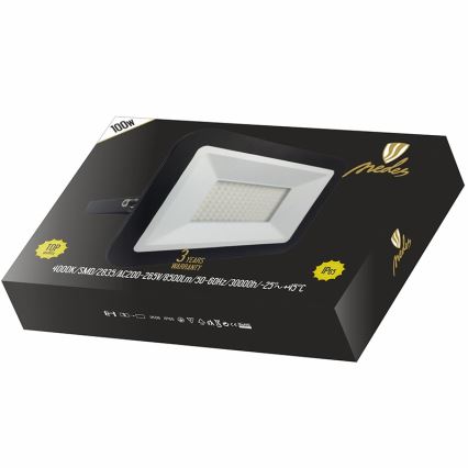 LED prožektor LED/100W/230V IP65