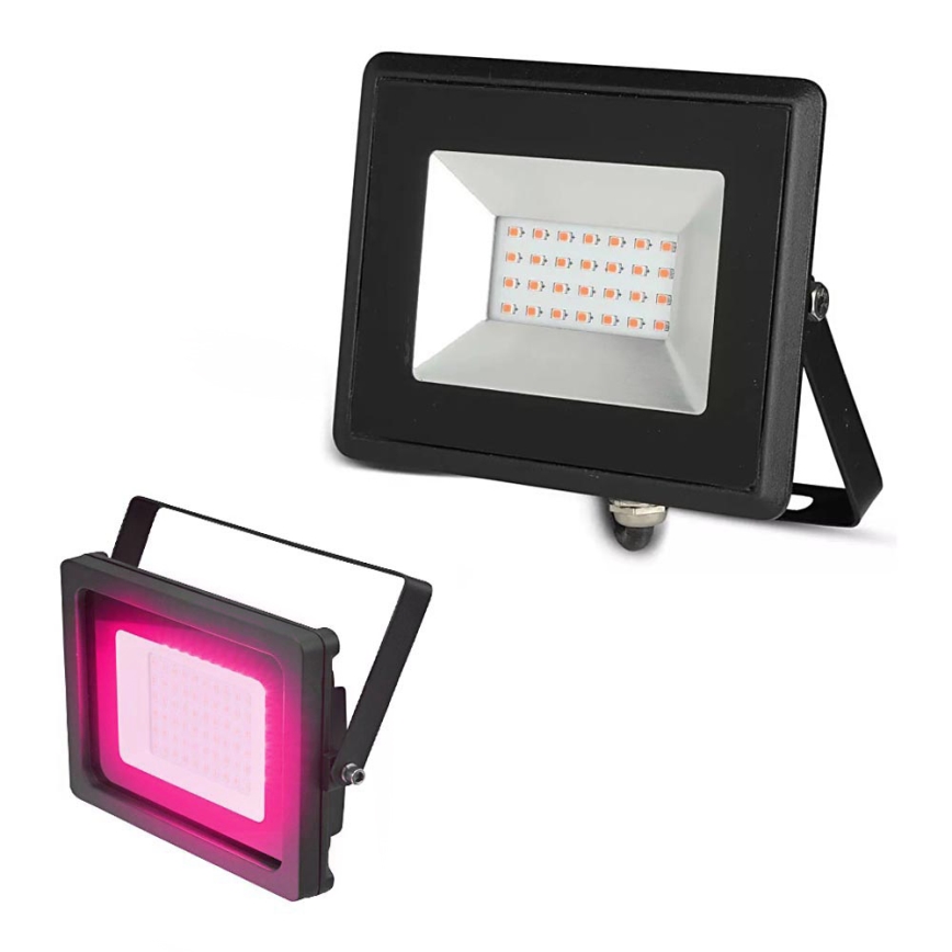 LED Prožektor LED/20W/230V IP65 roosa valgus