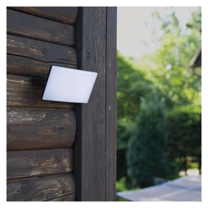 LED Prožektor TAMBO LED/10W/230V 4000K IP65