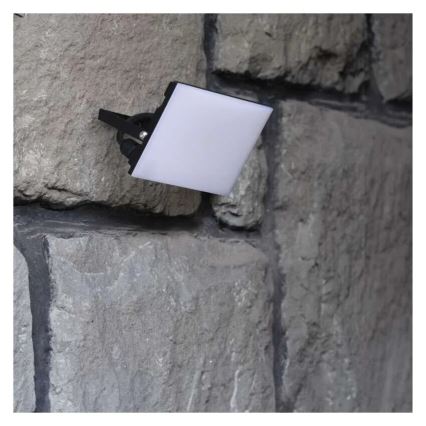 LED Prožektor TAMBO LED/30W/230V 4000K IP65