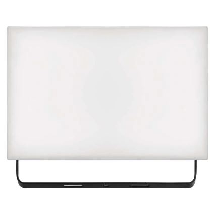 LED Prožektor TAMBO LED/50W/230V 4000K IP65