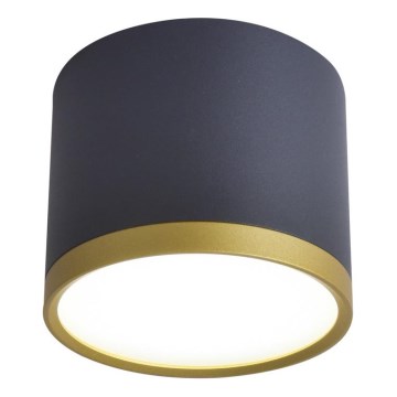 LED Prožektor TUBA LED/9W/230V must/kuld