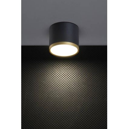 LED Prožektor TUBA LED/9W/230V must/kuld