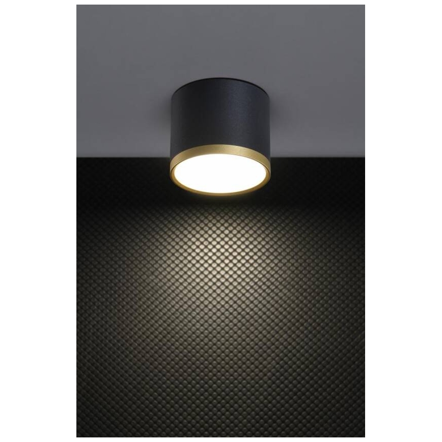 LED Prožektor TUBA LED/9W/230V must/kuld