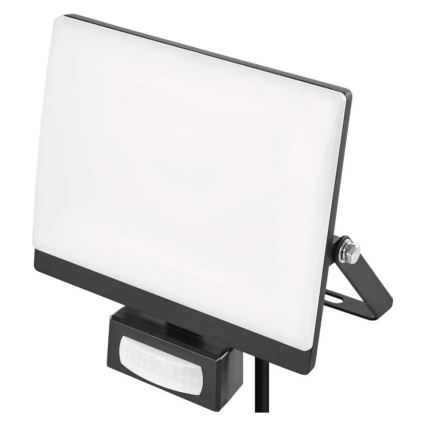 LED-reflektor liikumis- ja hämarussensoriga TAMBO EVO LED/30W/230V 4000K IP44 must