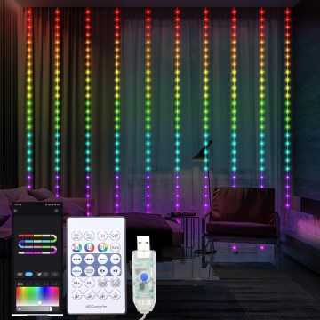 LED RGB Hämardatav Jõuluteemaline valguskardin WIZARD 300xLED/USB 3x3m + kaugjuhtimispult