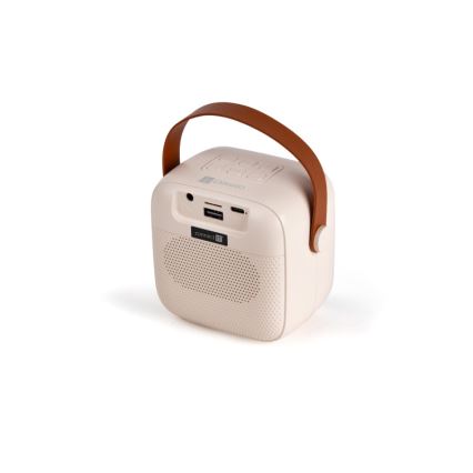 CONNECT IT CSP-1010-BG - LED RGB-kõlar koos 2 traadita mikrofoniga (2Mic), 5W/1200 mAh + 2x 400 mAh, kreemjas/kuldne