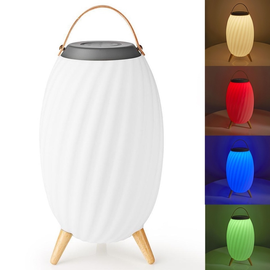 LED RGB Laetav laualamp kõlariga 60W/2200 mAh IPX5