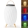 LED RGB Laetav laualamp kõlariga 60W/2200 mAh IPX5