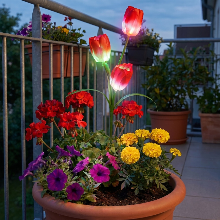 LED RGB päikeseenergial töötav dekoratiivne valgusti 3xLED/3,7V 200 mAh IP44, tulp