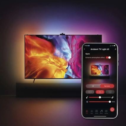 LED RGBIC Riba esemele TV GoSmart LED/24W/230V 65“