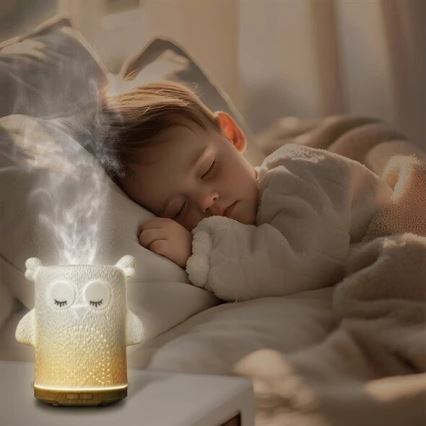 LED RGBW Aroomihajuti LED/8W/230V 100 ml öökull