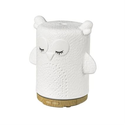 LED RGBW Aroomihajuti LED/8W/230V 100 ml öökull
