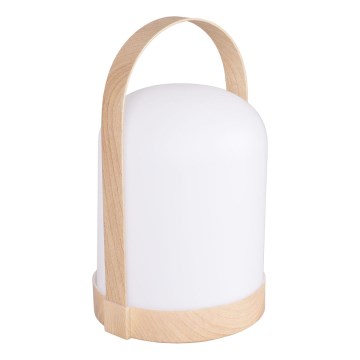 LED RGBW dekoratiivne laualamp MINORKA LED/0,3W/4,5V 3xAA