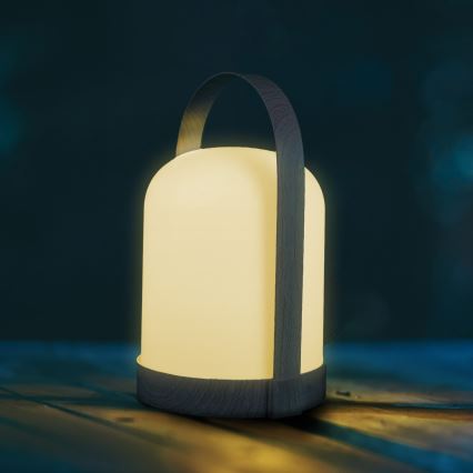 LED RGBW dekoratiivne laualamp MINORKA LED/0,3W/4,5V 3xAA