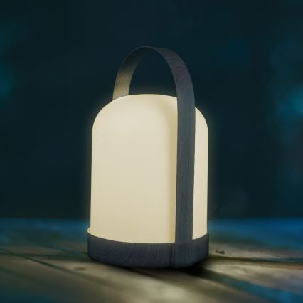 LED RGBW dekoratiivne laualamp MINORKA LED/0,3W/4,5V 3xAA