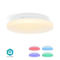 LED RGBW Hämardatav laevalgusti vannituppa SmartLife LED/18W/230V 2700-6500K IP44 Wi-Fi Tuya