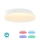LED RGBW Hämardatav laevalgusti vannituppa SmartLife LED/18W/230V 2700-6500K IP44 Wi-Fi Tuya