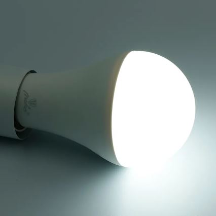 LED RGBW Hämardatav pirn A60 E27/15W/230V 2700-6500K Wi-Fi Tuya