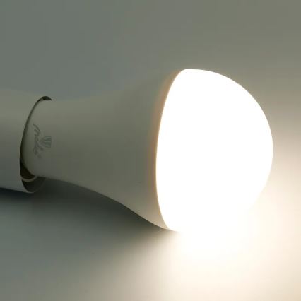 LED RGBW Hämardatav pirn A60 E27/15W/230V 2700-6500K Wi-Fi Tuya