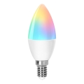 LED RGBW Hämardatav pirn C37 E14/4,9W/230V 2700-6500K - Aigostar