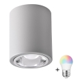 LED RGBW hämardatav punktvalgusti JUPITER 1xE27/6,5W/230V 2700-6500K Wi-Fi läbimõõt 9,8 cm hall