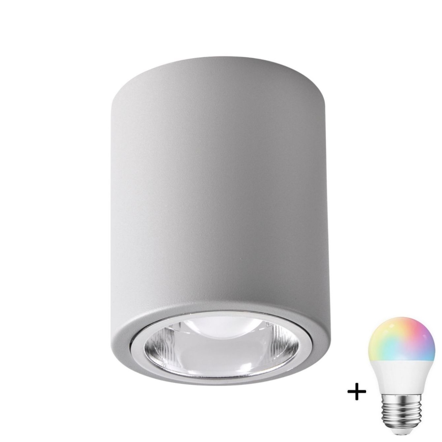 LED RGBW hämardatav punktvalgusti JUPITER 1xE27/6,5W/230V 2700-6500K Wi-Fi läbimõõt 9,8 cm hall
