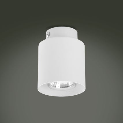LED RGBW hämardatav spottvalgusti VICO WHITE 1xGU10/6,5W/230V 2700-6500K