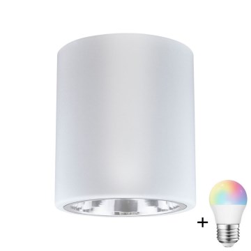 LED RGBW hämardatav spotvalgusti JUPITER 1xE27/6,5W/230V 2700-6500K Wi-Fi, läbimõõt 13 cm, valge