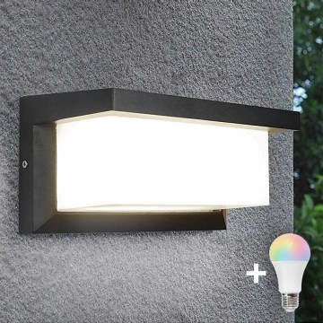 LED RGBW hämardatav välisseinale kinnitatav seinavalgusti NEELY 1xE27/9W/230V 2700-6500K IP54 Wi-Fi antratsiit
