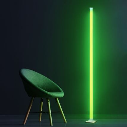 LED RGBW Hämardatav põrandalamp MAGICAL LED/7W/230V + kaugjuhtimispult