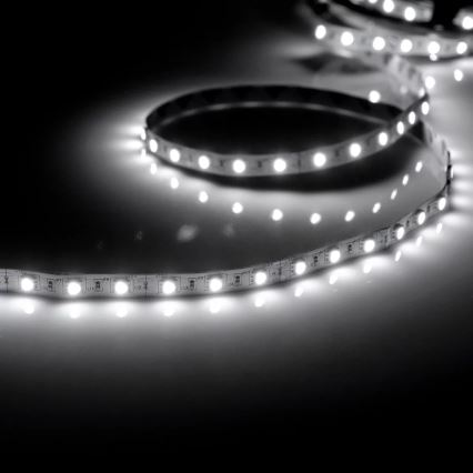 LED Riba 5m 28W/12V IP20 6500K