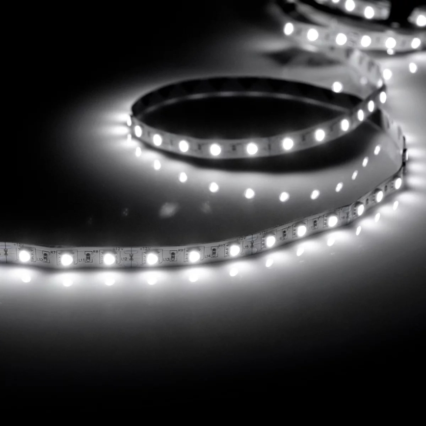 LED Riba 5m 28W/12V IP20 6500K