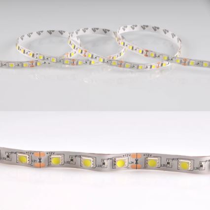 LED Riba 5m 28W/12V IP20 6500K