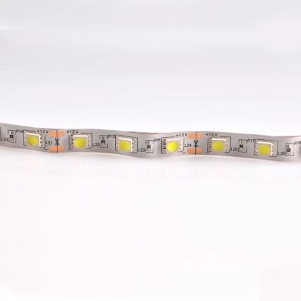 LED Riba 5m 28W/12V IP20 6500K