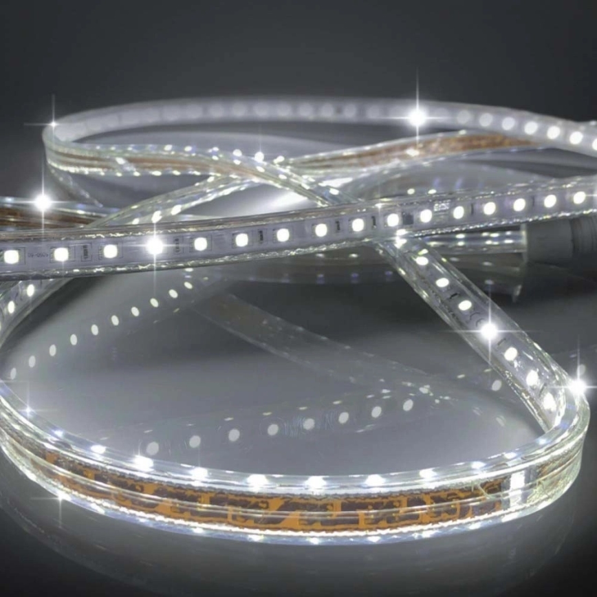 LED Riba EASY CONNECT LED/14,4W/230V 3m IP67 külm valge