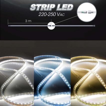 LED Riba EASY CONNECT LED/14,4W/230V 3m IP67 sinine