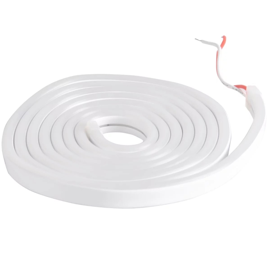 LED Riba NEON 2 m LED/17W/12V 4,000K IP65