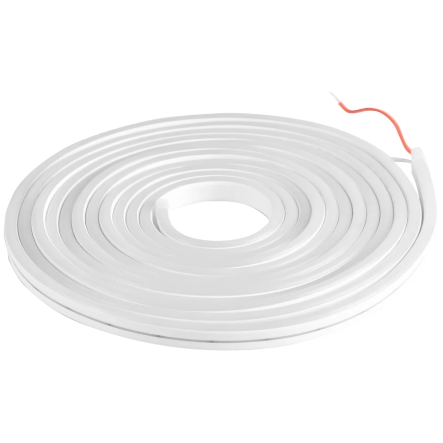 LED Riba NEON 5m LED/48W/24V 4000K IP65