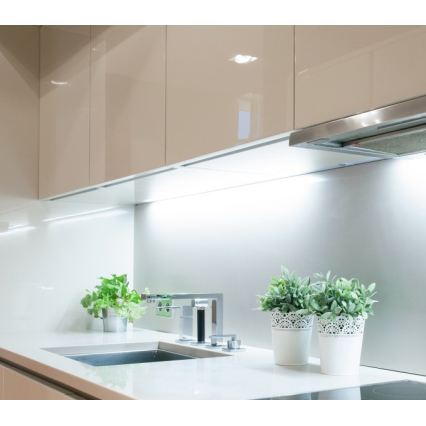 LED-riba TRAMO LED/500W/12V 50m 6500K