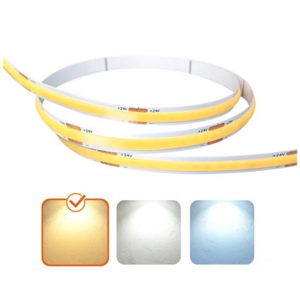 LED Riba TRAMO LED/500W/24V 50 m 3000K