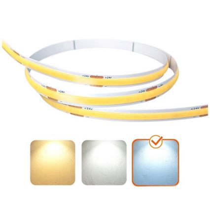 LED Riba TRAMO LED/500W/24V 50 m 6500K