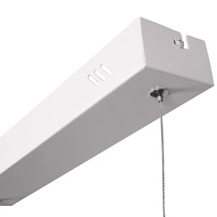 LED-riipvalgusti BERNADETTA kaabliga, 20 W, 230 V, 4000 K, valge