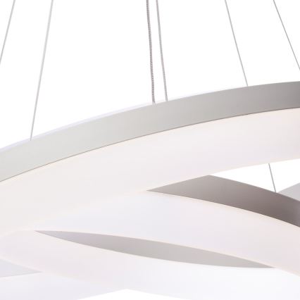 LED Ripplühter RING puldiga LED/60W/230V